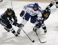 关于字母哥重返赛场，败北首场状态出色，独行侠观众沸腾！上演精彩一战的信息